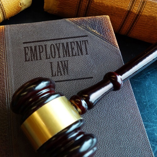 Employment law book